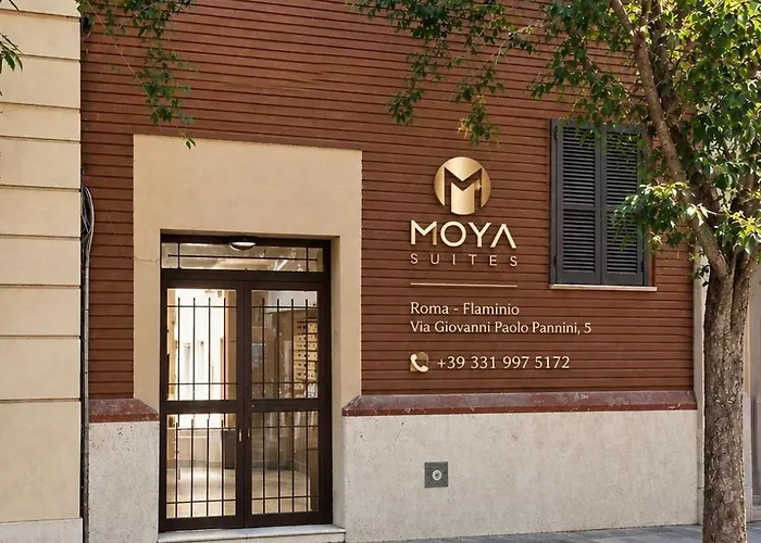 Moya 2 - In *